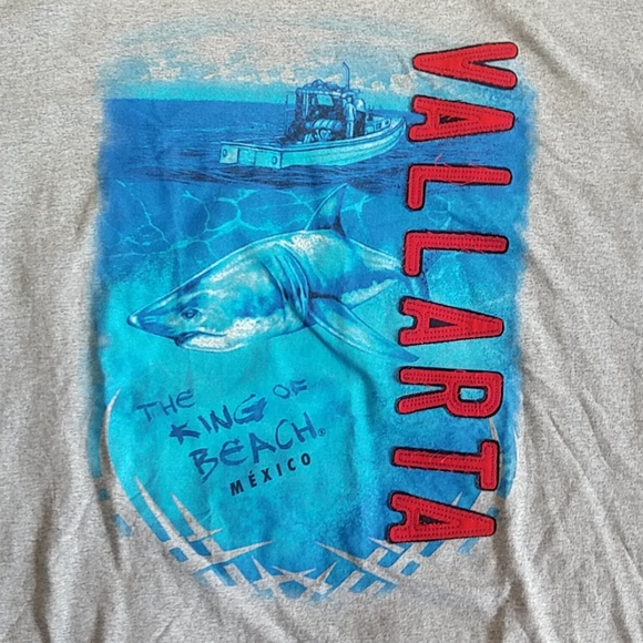 THE KING OF THE BEACH Men's T-Shirt EXTRA LARGE - Picture 2 of 4